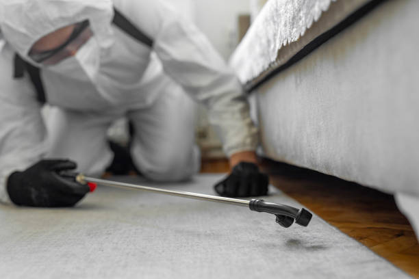Professional Termite Control technician working in Valle Vista, AZ